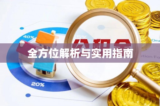 申扎全方位解析与实用指南