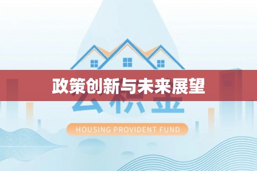 申扎政策创新与未来展望