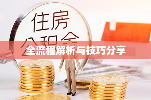 申扎全流程解析与技巧分享