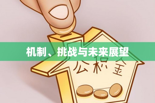 申扎机制、挑战与未来展望