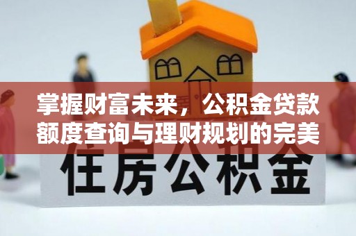 申扎掌握财富未来，公积金贷款额度查询与理财规划的完美结合