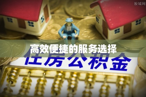 申扎高效便捷的服务选择