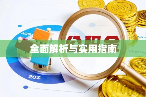 申扎全面解析与实用指南