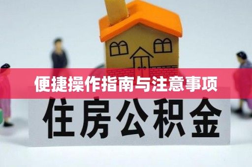 申扎便捷操作指南与注意事项