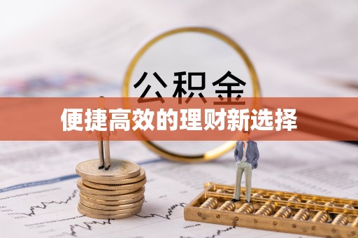申扎便捷高效的理财新选择