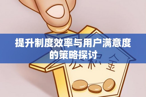 申扎提升制度效率与用户满意度的策略探讨