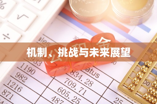 申扎机制、挑战与未来展望